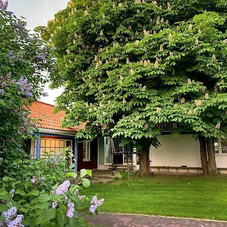 Solbakke Hvaler - Modern Close To Sea * Rod (Ostfold)